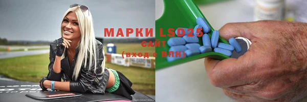 мяу мяу мука Горно-Алтайск