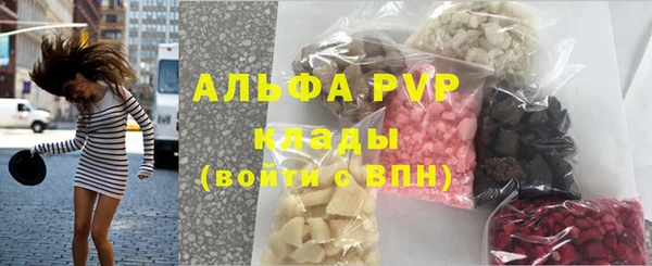 мяу мяу мука Горно-Алтайск