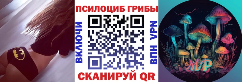 Псилоцибиновые грибы Psilocybe  блэк спрут   Няндома 
